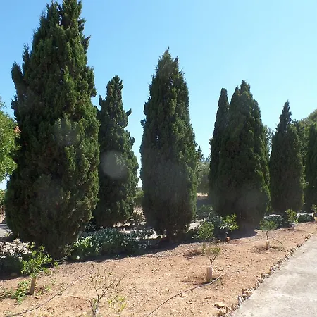 Sa Bassa Crua Farm stay